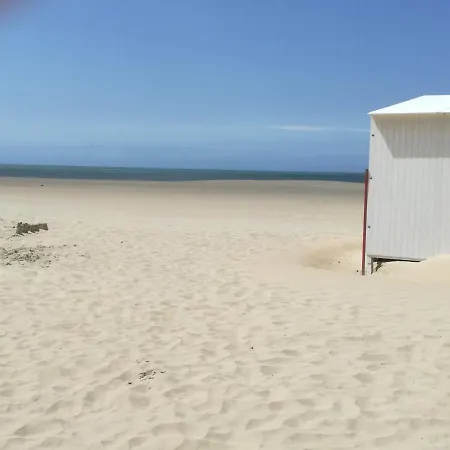 Studio Beach *